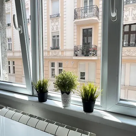 Cozy * Βελιγράδι